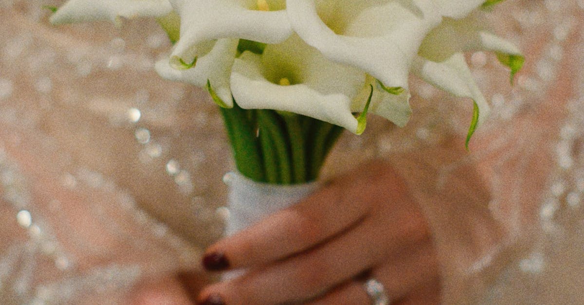 Elegant Bridal Bouquet Ideas for Gold Coast Weddings