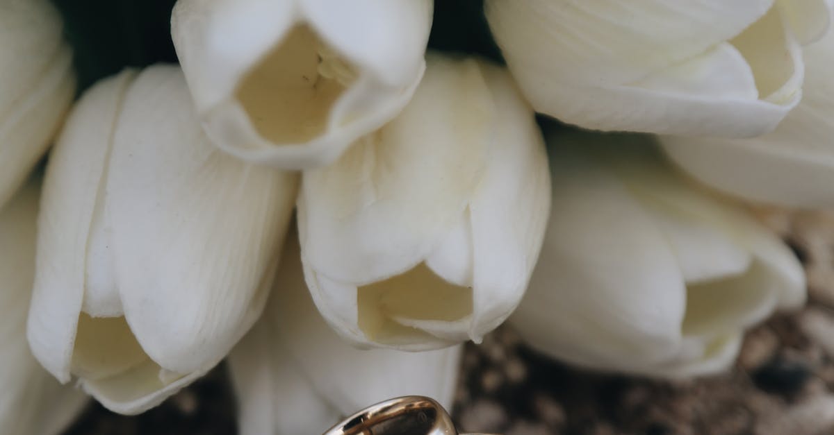 Minimalist Bouquet Designs for Modern Weddings