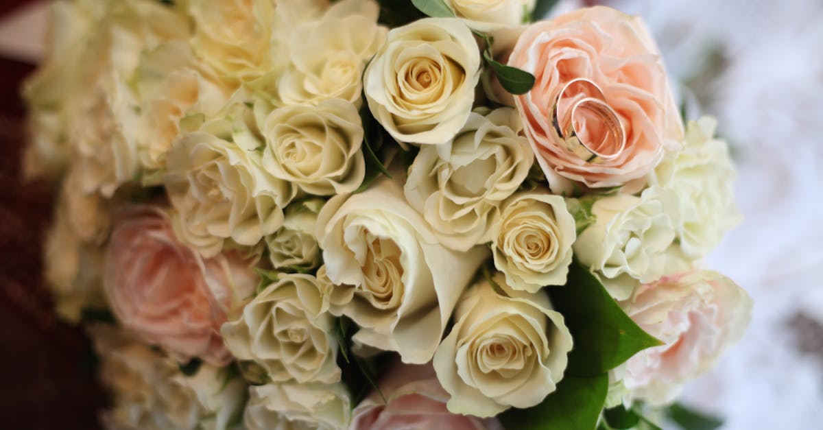 Seasonal Blooms for Stunning Flower Crowns on the Gold Coast