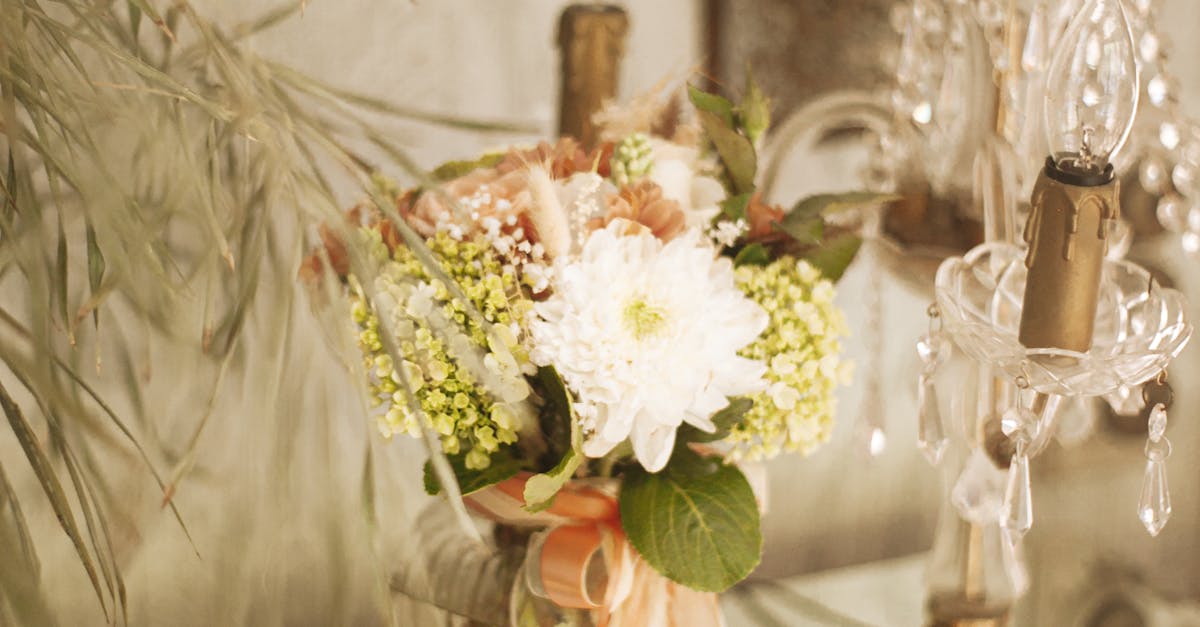 Seasonal Inspirations for Boutonnieres on the Gold Coast