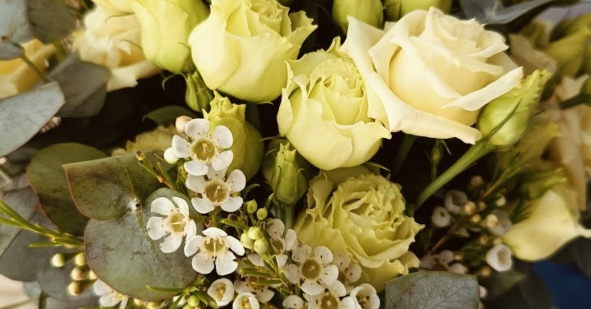 Stunning Autumn Floral Combinations for Gold Coast Weddings